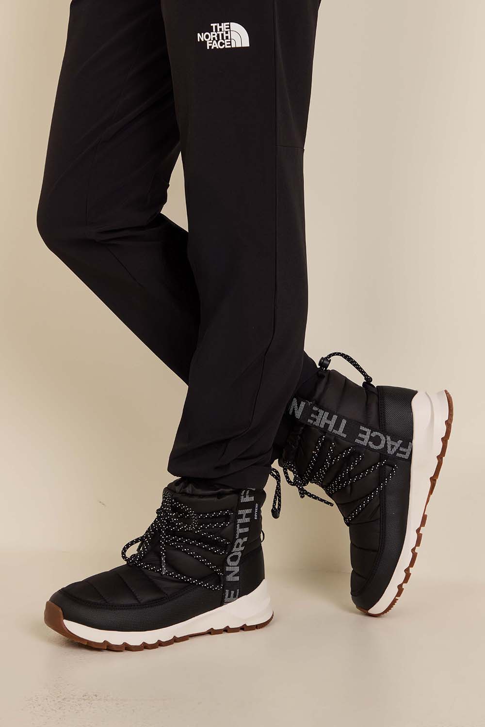 מגפוני תרמובול